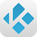 Apple Icon